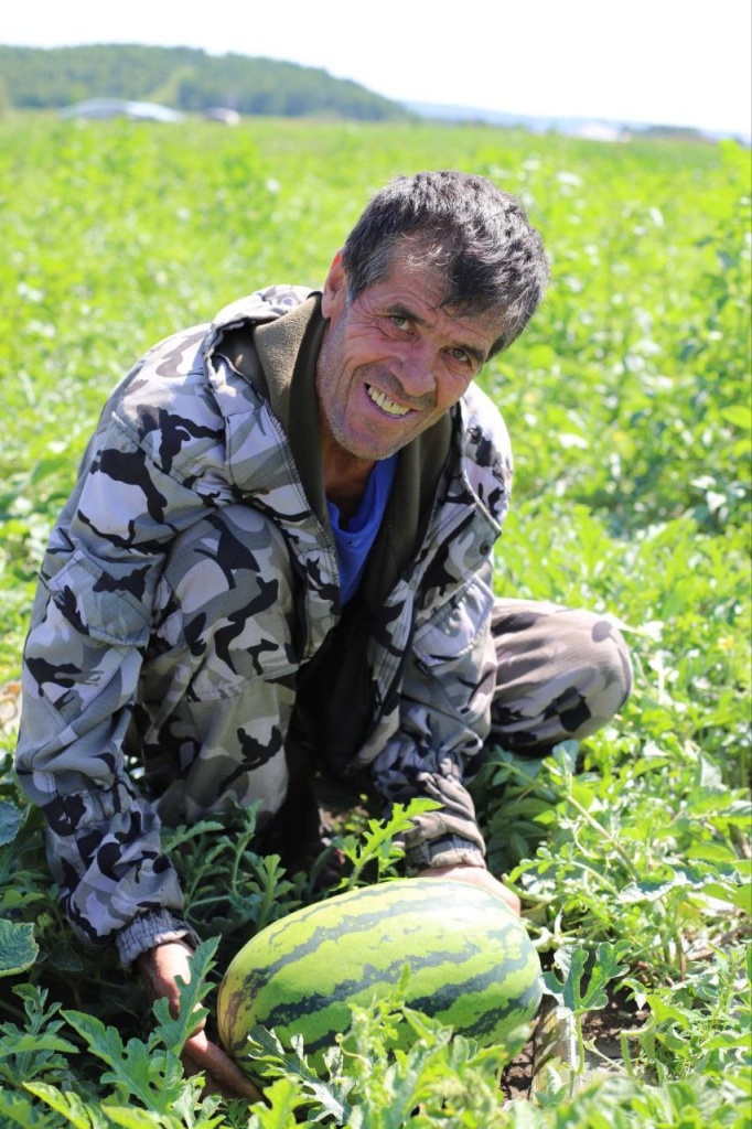 В Иркутском районе в конце августа готовятся собирать урожай арбузов