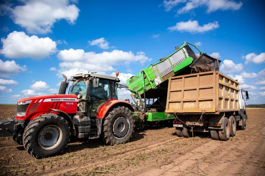 В Городском округе Коломна приступили к сбору урожая картофеля