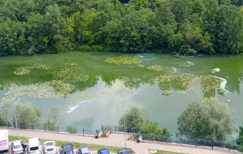 Специалисты разъяснили причину необычного цвета воды в реке Серебрянка