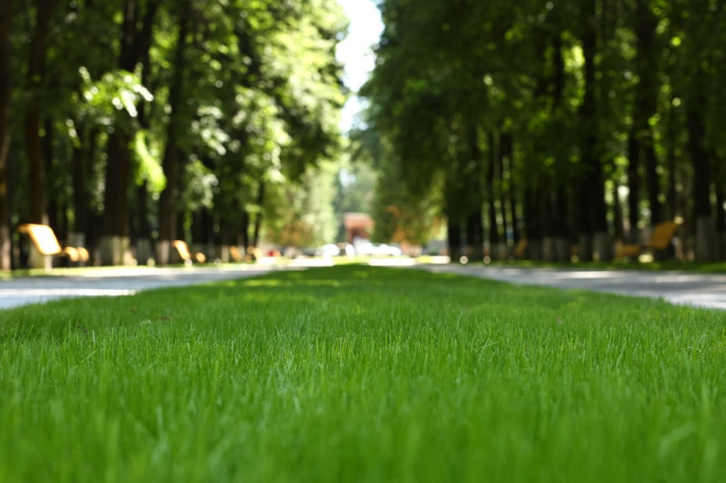 В Подмосковной Коломне в парке Мира реконструкция идет полным ходом