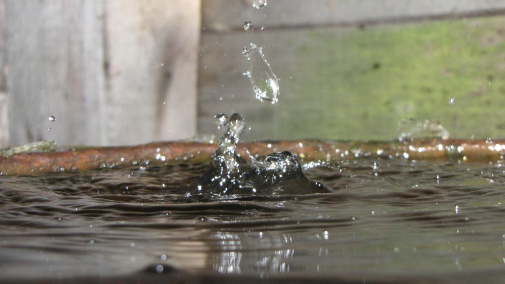 В Липецке жители дома обратились в прокуратуру из-за регулярного затопления подвала канализационными стоками В Липецке жители дома обратились в прокуратуру из-за регулярного затопления подвала канализационными стоками