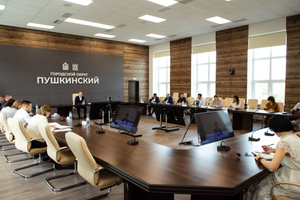 В Городском округе Пушкинский в образовательных комплексах полным ходом идёт подготовка к новому учебному году