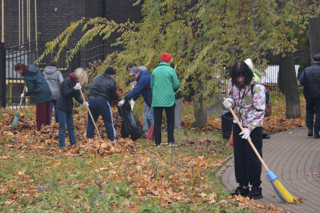 В Воронеже депутаты гордумы совместно с избирателями навели порядок во дворах и парках