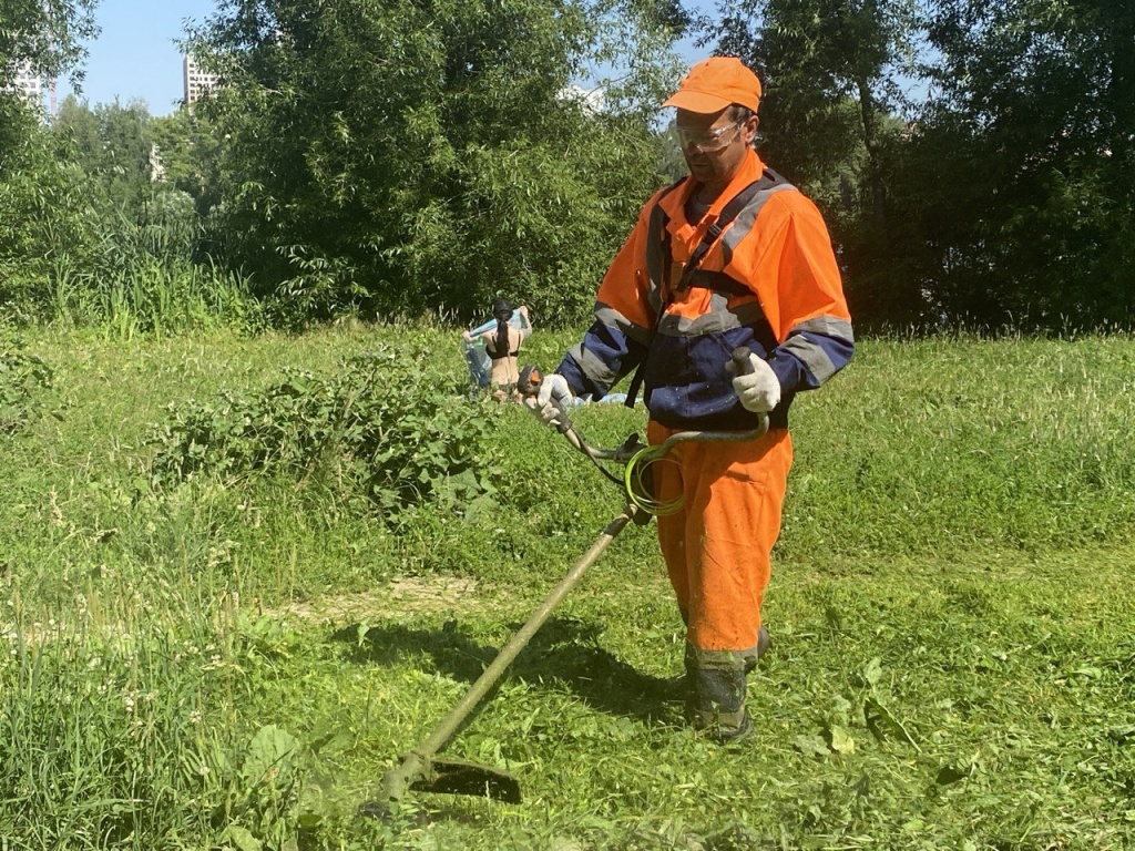 По просьбам жителей в подмосковном Пушкино расчистили две популярные пешеходные тропы По просьбам жителей в подмосковном Пушкино расчистили две популярные пешеходные тропы
