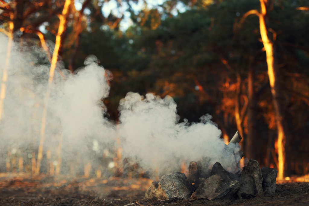 Жители Подмосковья более 100 раз нарушили противопожарный режим за три дня Жители Подмосковья более 100 раз нарушили противопожарный режим за три дня
