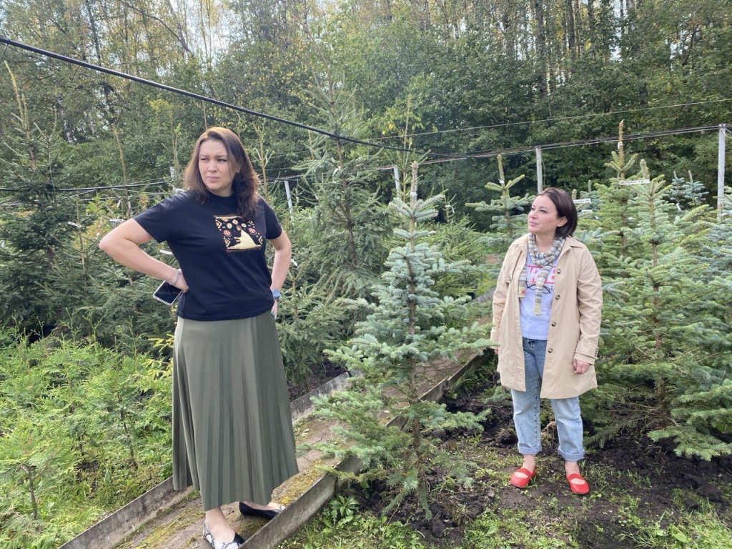 Уполномоченный главы Пушкинского выполнила наказ жителей Ивантеевки: во дворе на Фабричном проезде высадят голубые ели и гортензии Уполномоченный главы Пушкинского выполнила наказ жителей Ивантеевки: во дворе на Фабричном проезде высадят голубые ели и гортензии