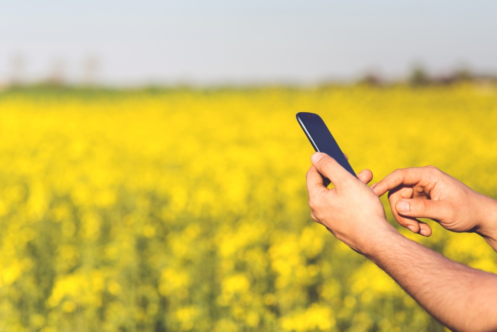 В Иркутской области в течение года 36 населённых пунктов подключат к интернету и мобильной связи