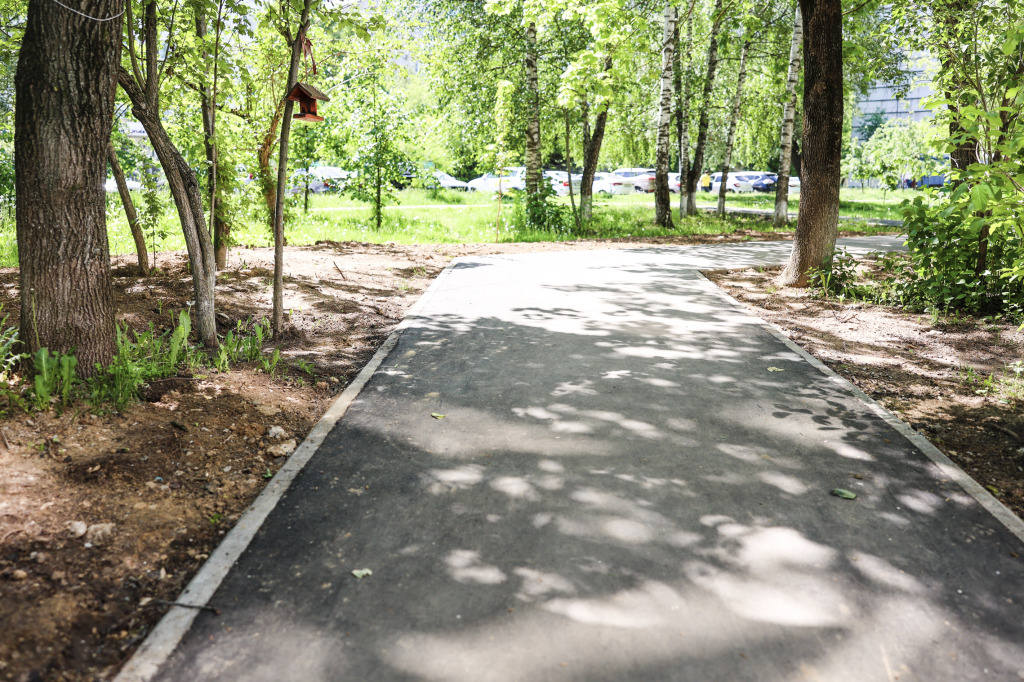 В городском округе Красногорск продолжают обустраивать «Народные тропы»