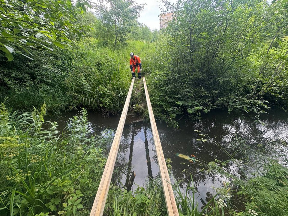 В Новом Пушкино идёт благоустройство пешеходной зоны к лесопарку «Северный»