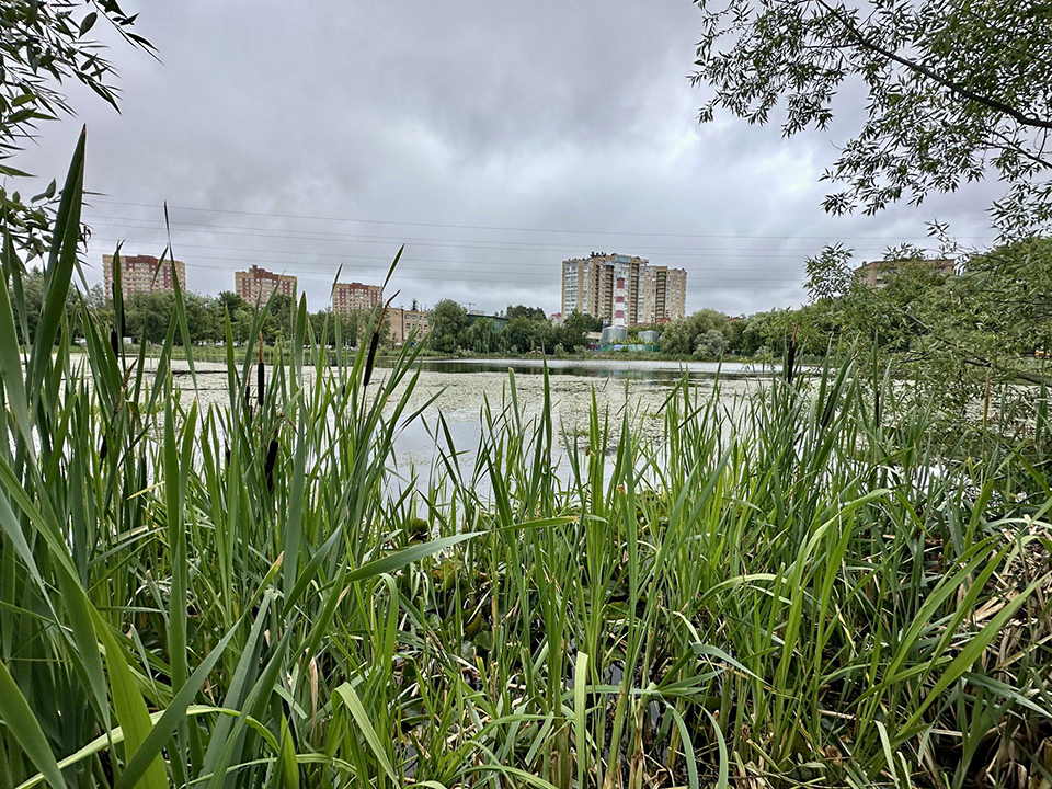 Глава Городского округа Пушкинский оценил ход работ по благоустройству набережной на Травинском озере