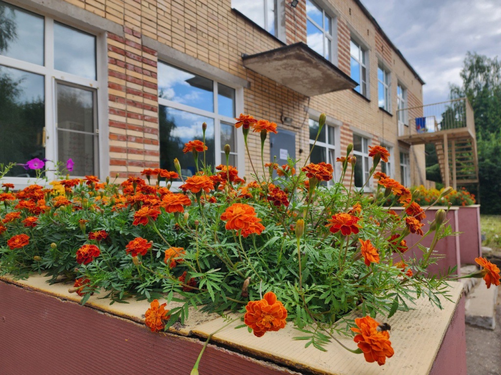 В подмосковном Красноармейске территория детского сада «Белочка» преобразилась к новому учебному году