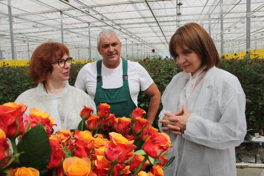Кадошкинские розы могут стать новым туристическим брендом Мордовии