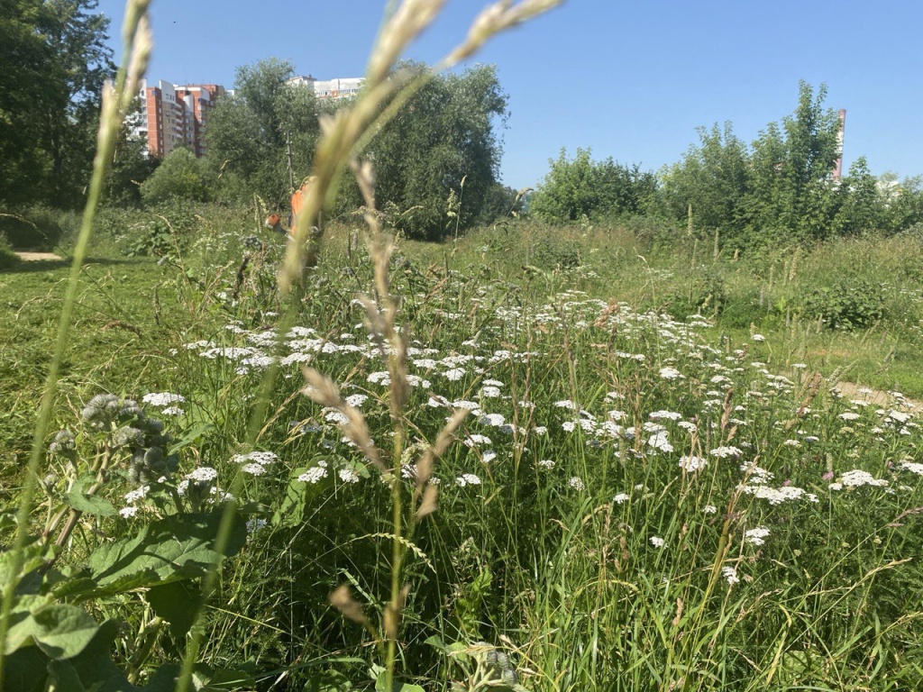 По просьбам жителей в подмосковном Пушкино расчистили две популярные пешеходные тропы По просьбам жителей в подмосковном Пушкино расчистили две популярные пешеходные тропы
