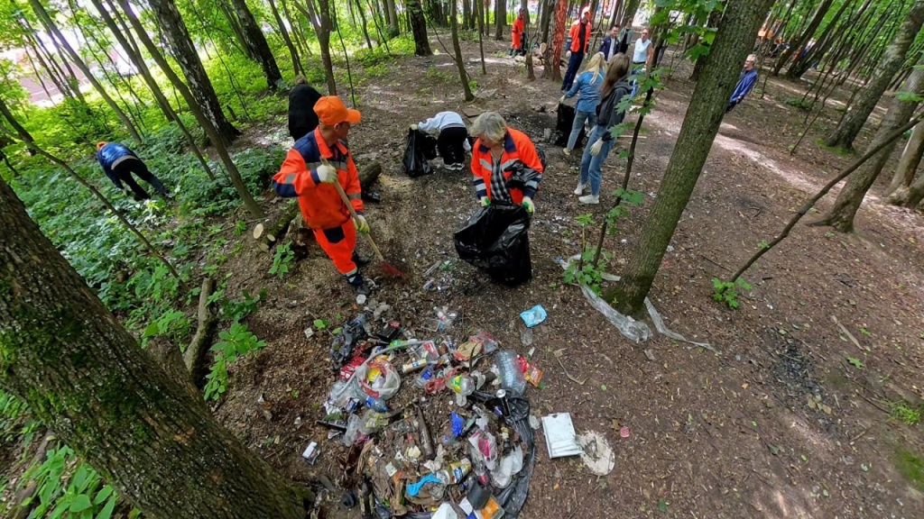 В Ивантеевке представители администрации округа Пушкинский, волонтёры и общественники навели порядок в лесополосе рядом с улицей Бережок
