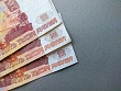 В Новосибирской области директор организации похитил почти миллион рублей, выписывая себе премии